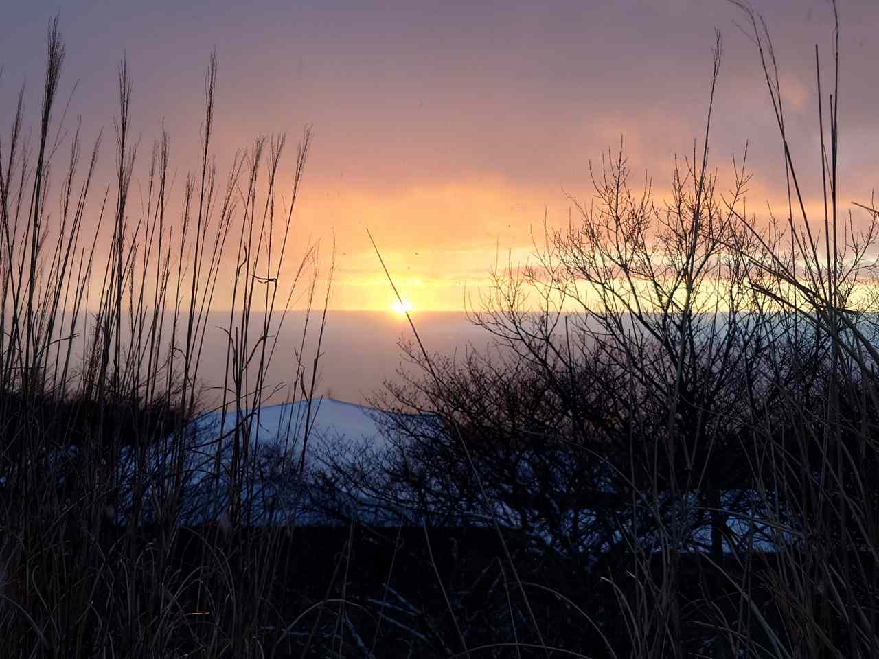 新年のご挨拶٩( ''ω'' )و