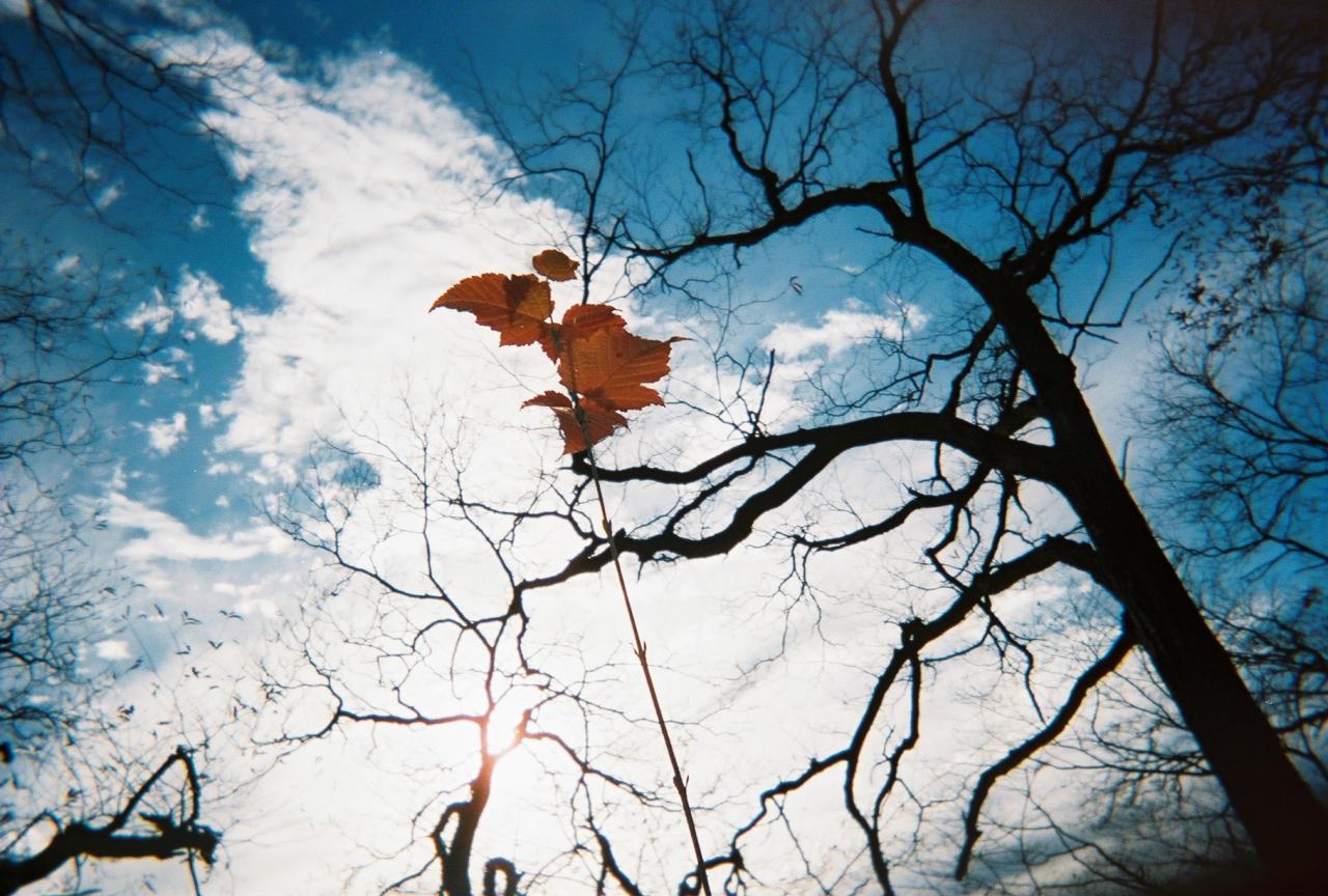 はじめまして！